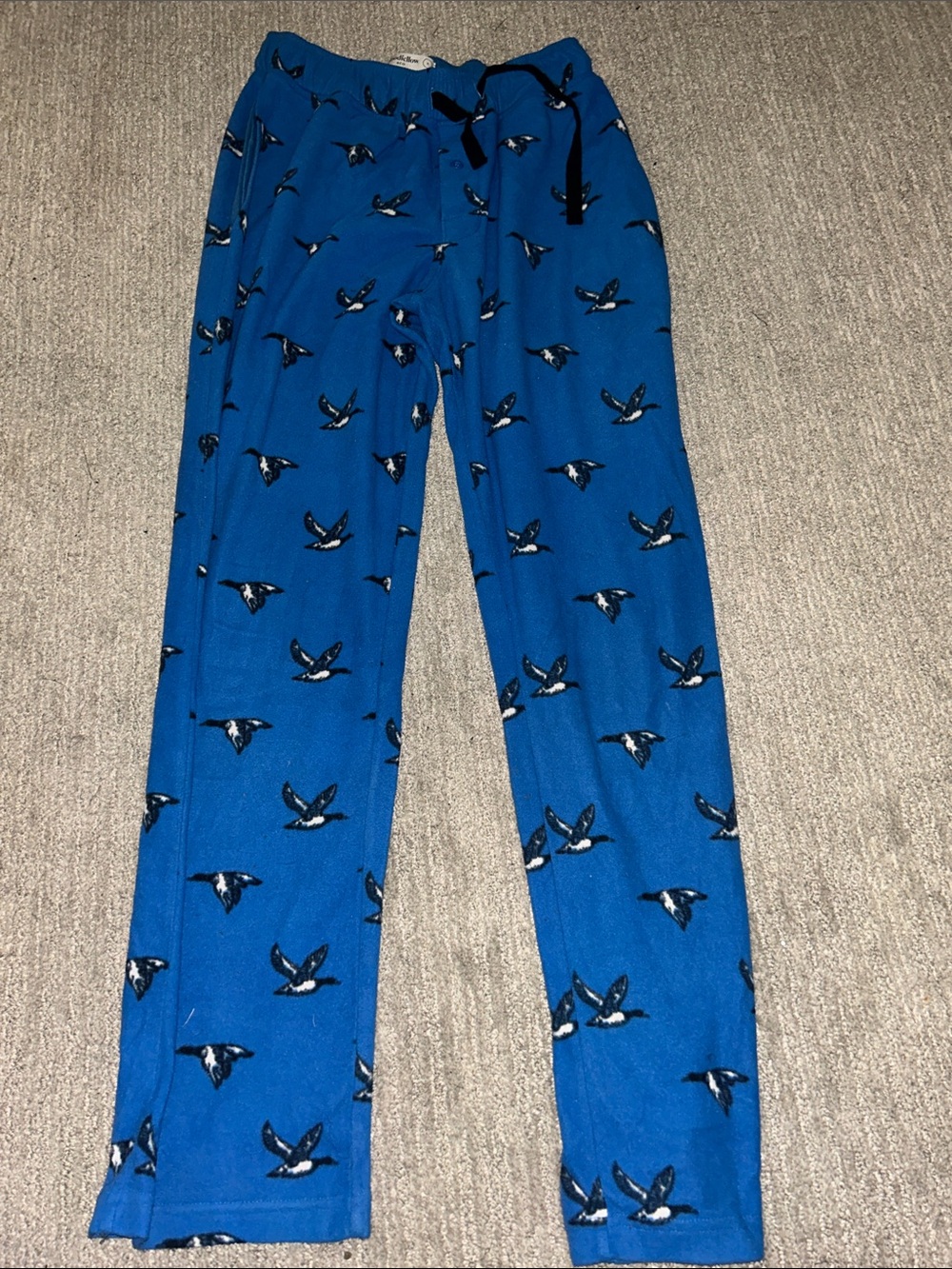 Goodfellow & Co Blue Bird-Print Lounge Pants
